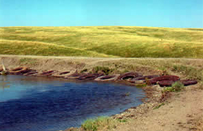 Completed dam 3