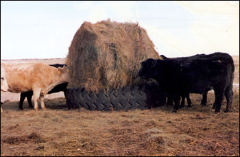 Feeder Tires