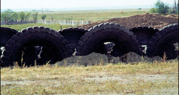 Windbreak 1